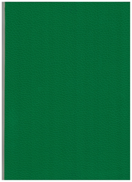 绿色碎石纹ALK-48321